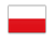 PALINGEO srl - Polski